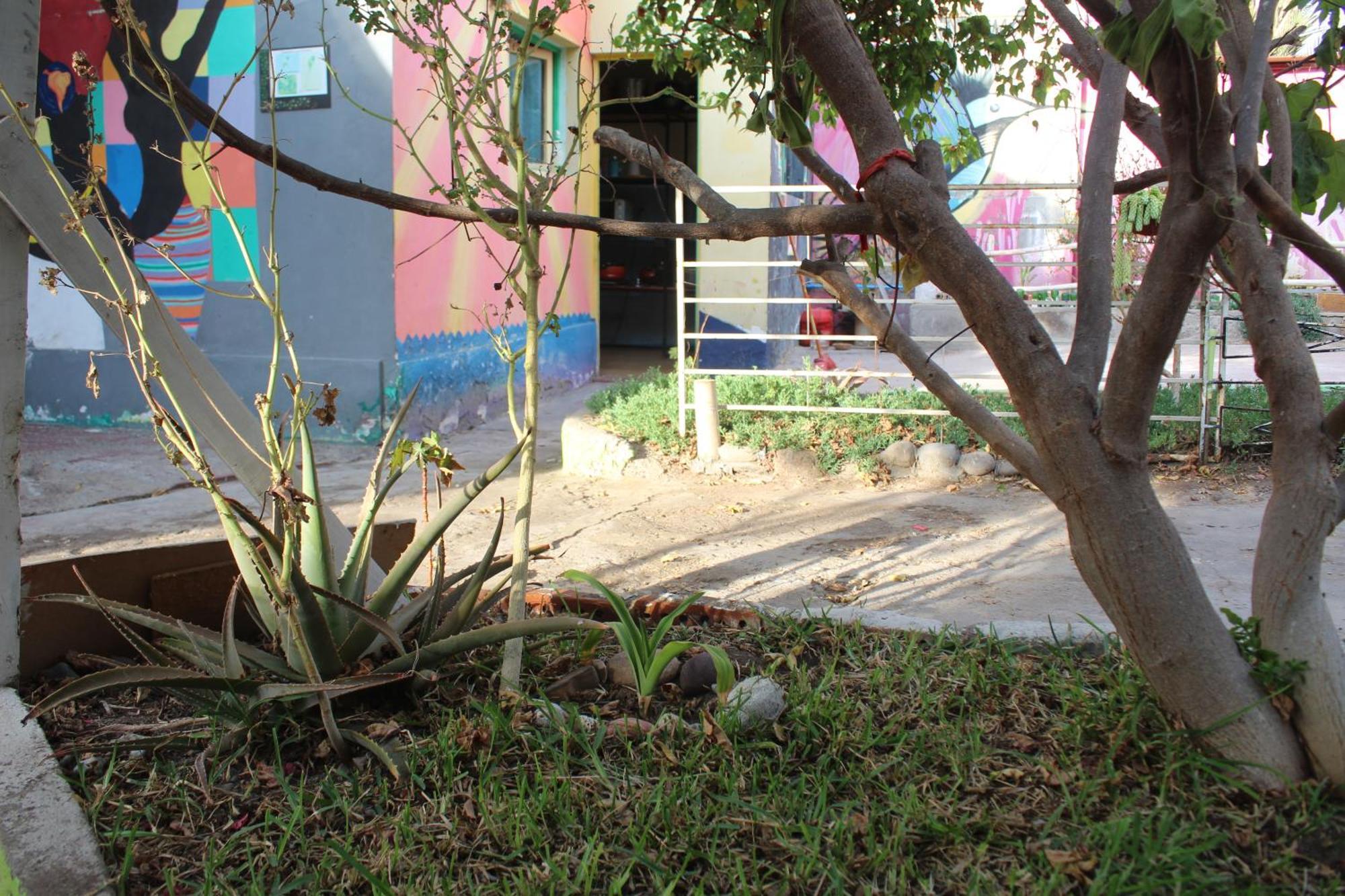 Hostel Posada De Gallo Arica Kültér fotó