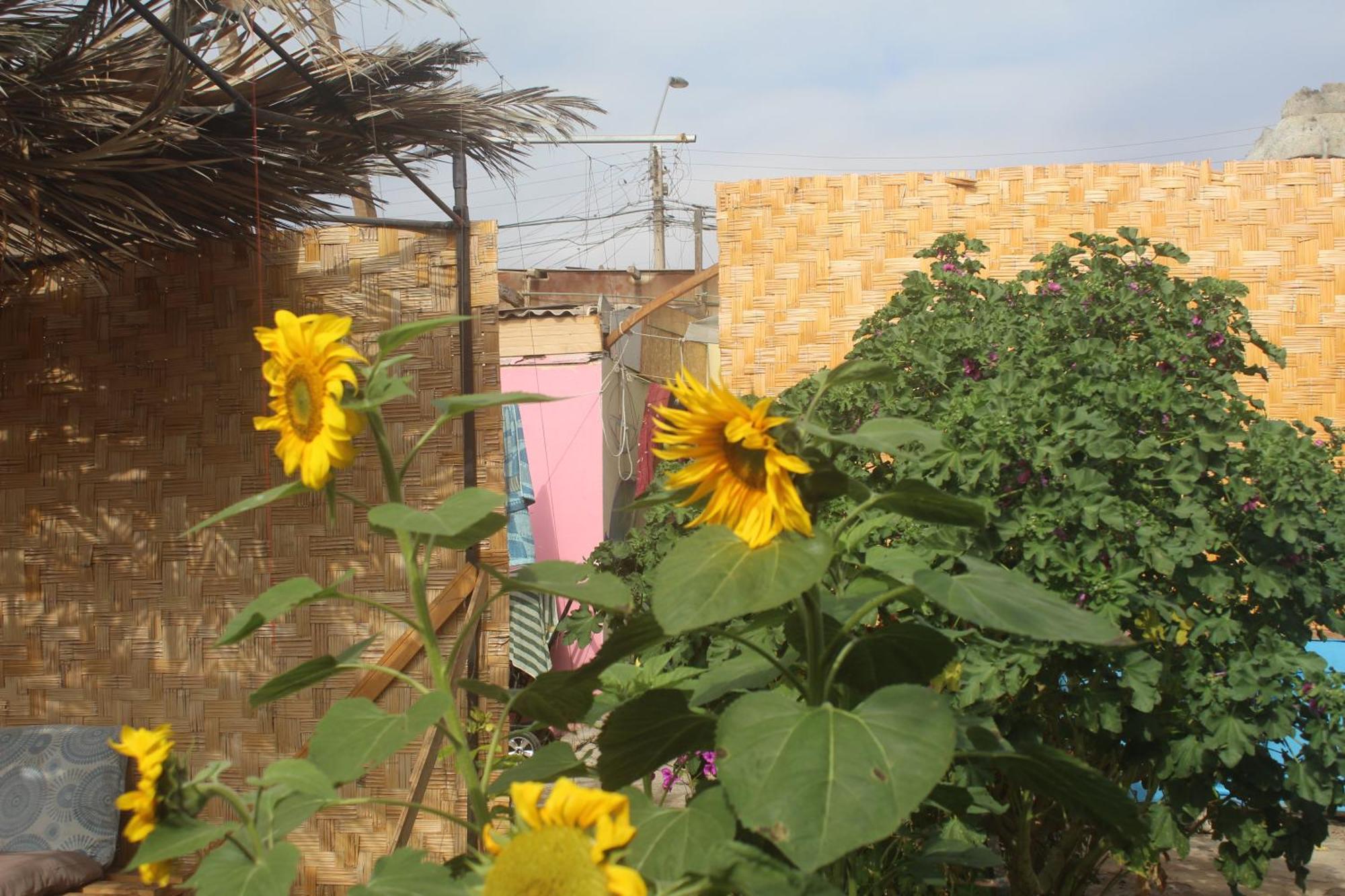 Hostel Posada De Gallo Arica Kültér fotó