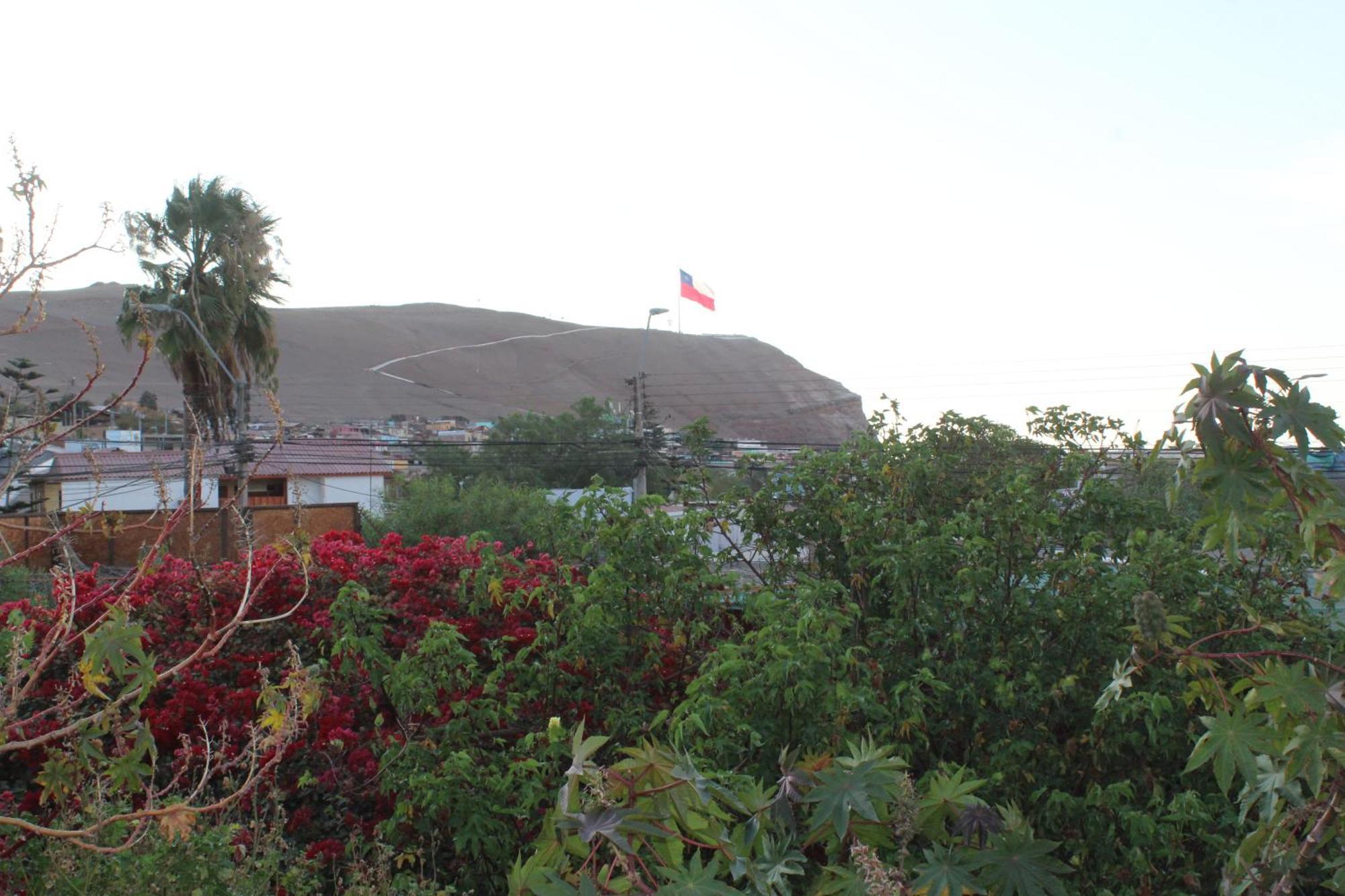 Hostel Posada De Gallo Arica Kültér fotó