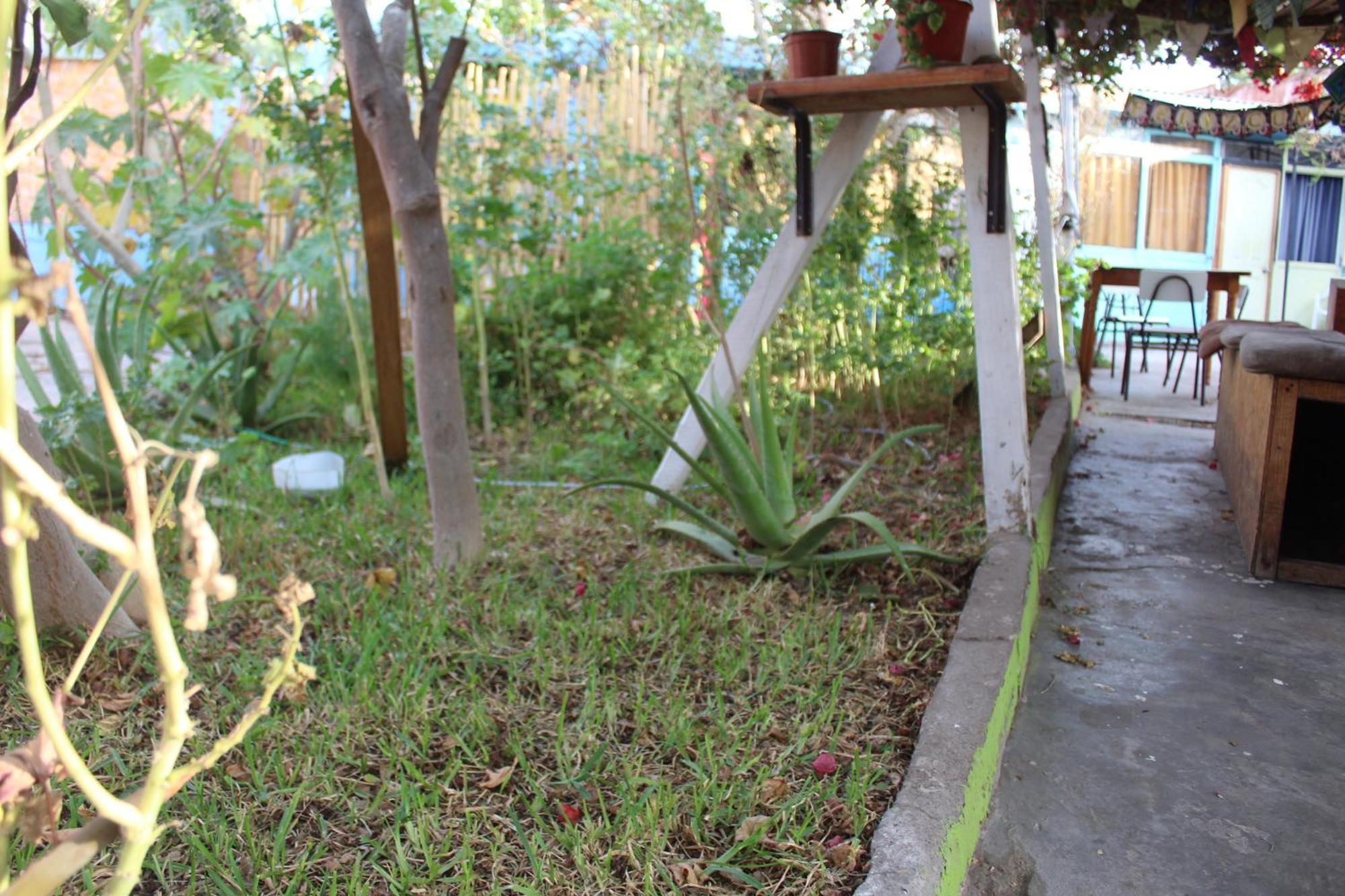 Hostel Posada De Gallo Arica Kültér fotó